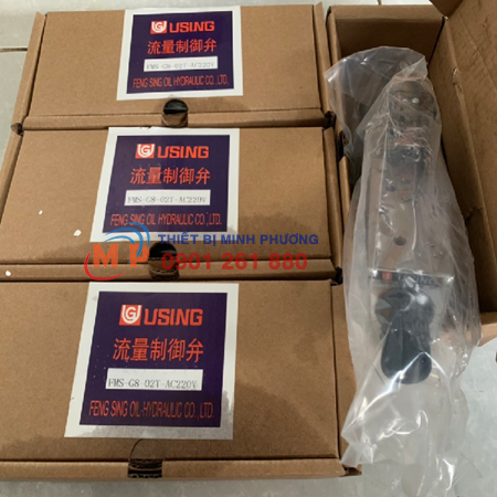 USING FMS-G8-02T-AC220V